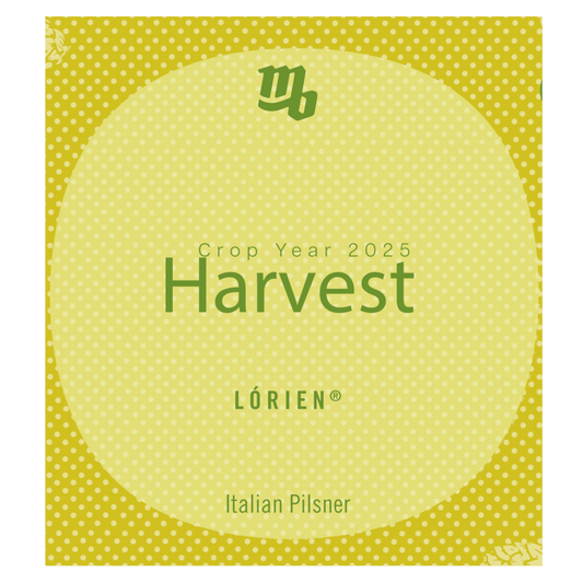 0. HARVEST 2025 - Italian Pils